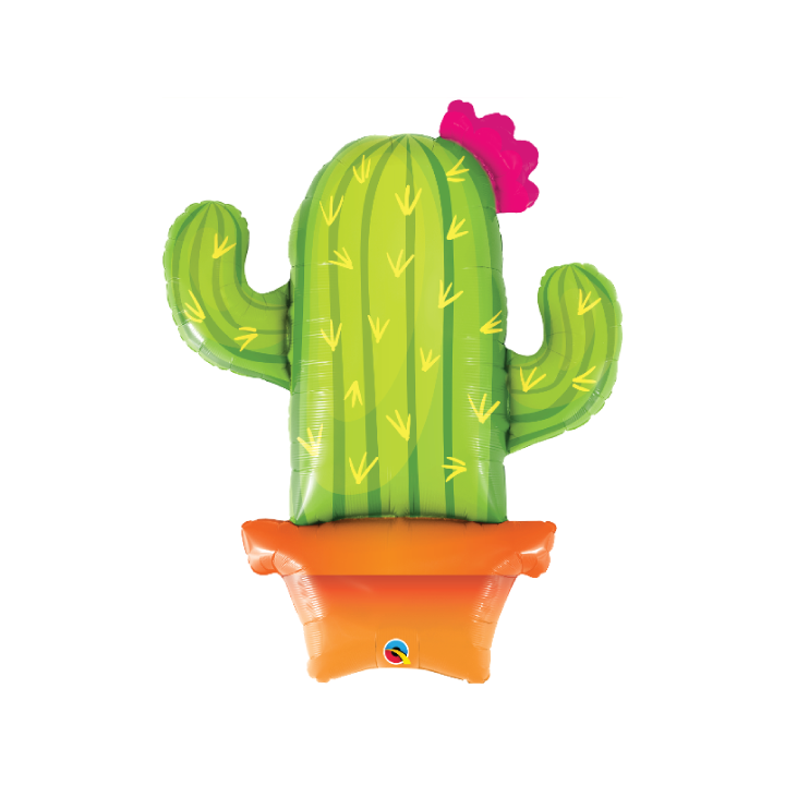 Pink Cactus Balloon