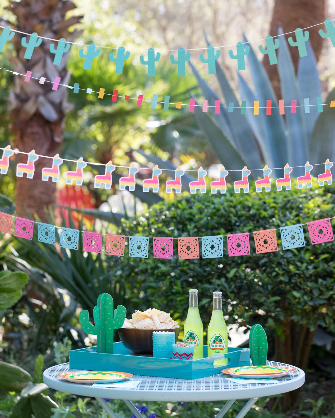 Cactus Banner