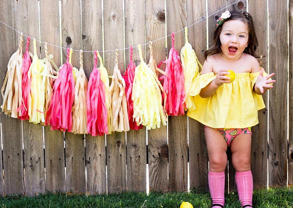 Pink Lemonade Paper Tassels