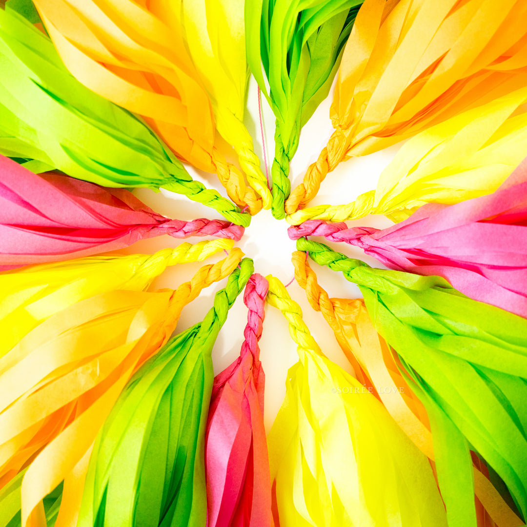 Summer Sorbet Paper Tassels