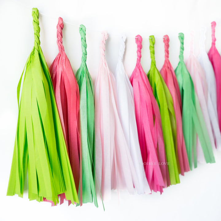 Watermelon Paper Tassels