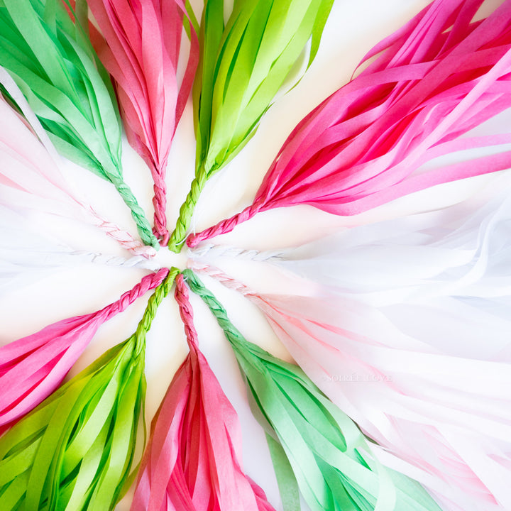Watermelon Paper Tassels