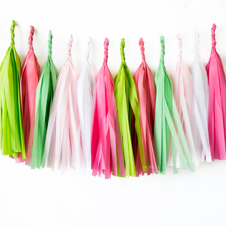 Watermelon Paper Tassels