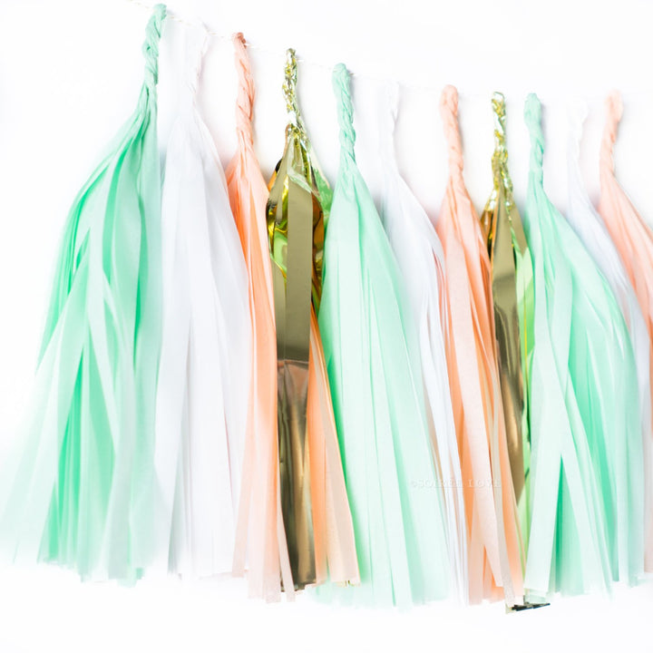Peaches & Mint Paper Tassels