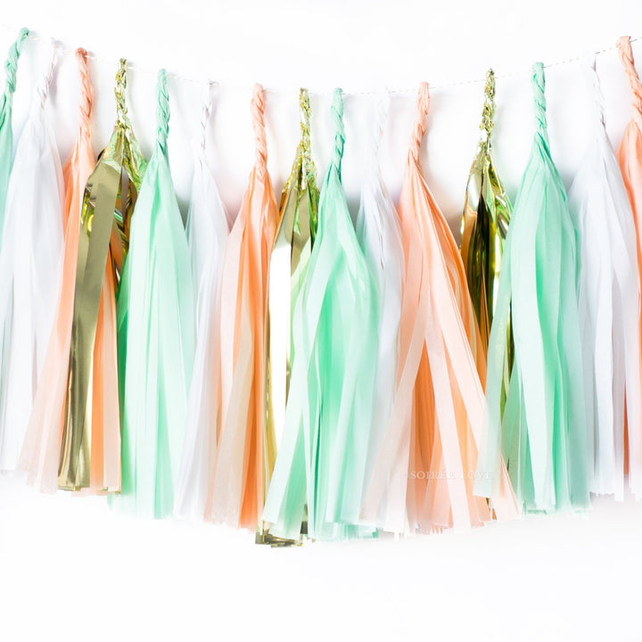 Peaches & Mint Paper Tassels