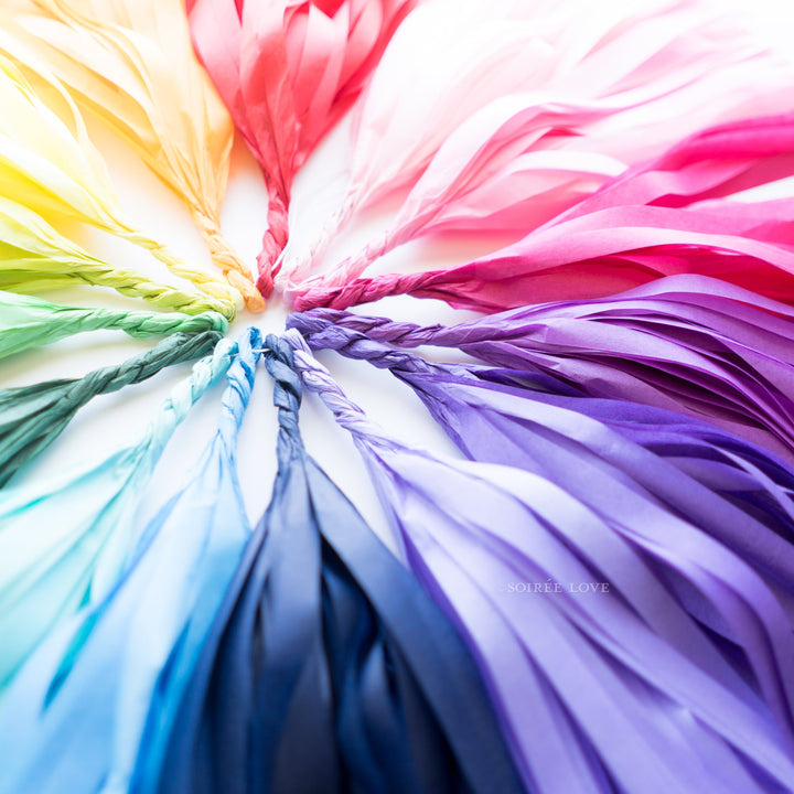 Rainbow Unicorn Paper Tassels