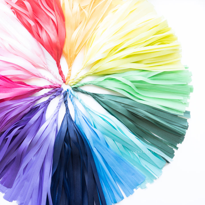 Rainbow Unicorn Paper Tassels