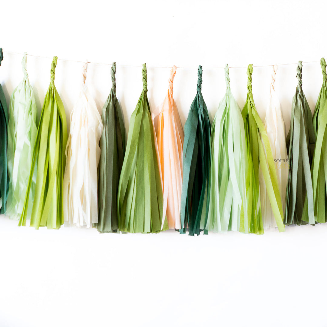 Cactus Paper Tassels