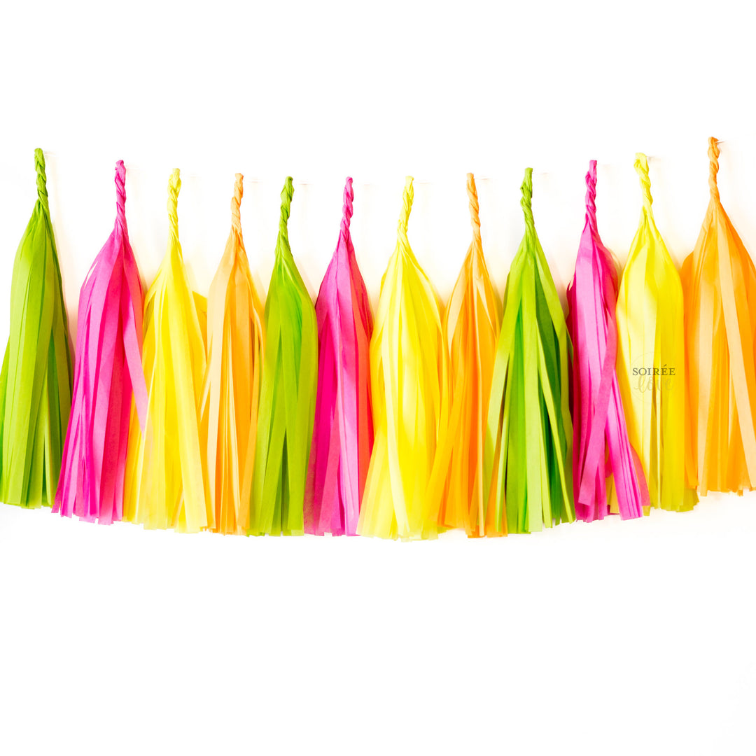 Summer Sorbet Paper Tassels