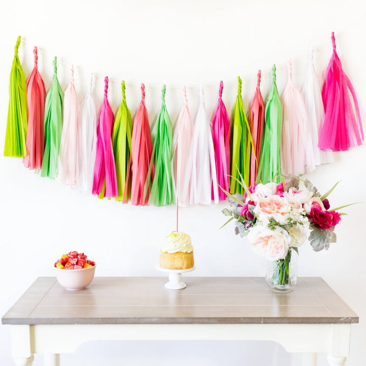 Watermelon Paper Tassels