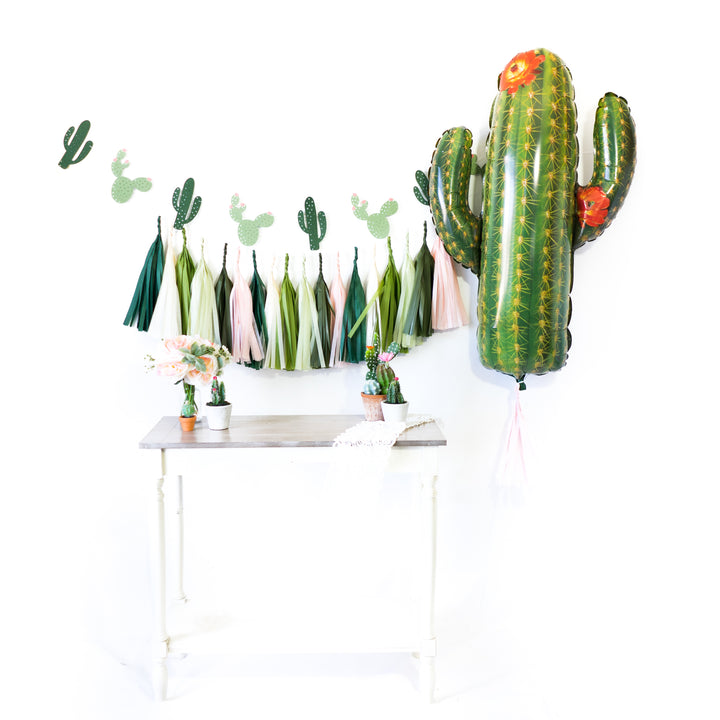 Blush Cactus Fiesta Balloon Party Box