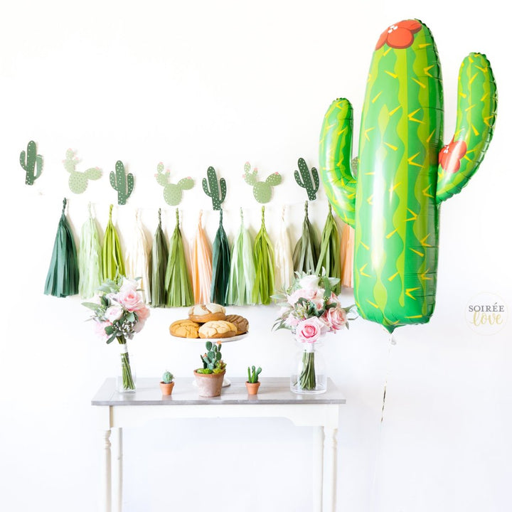 Cactus Fiesta Balloon Party Box