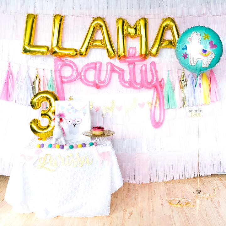 Llama Balloon Party Box