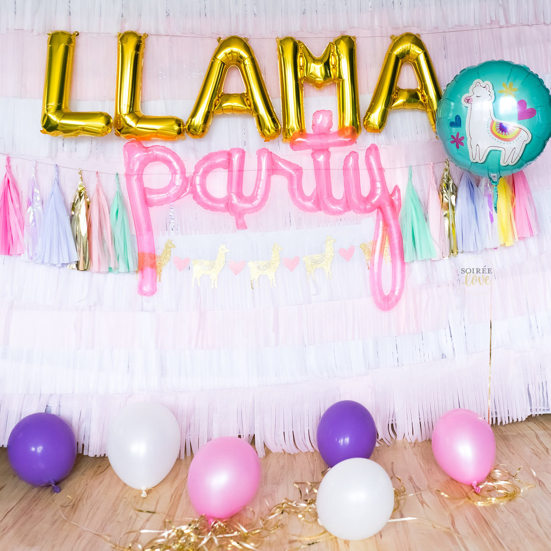 Llama Balloon Party Box