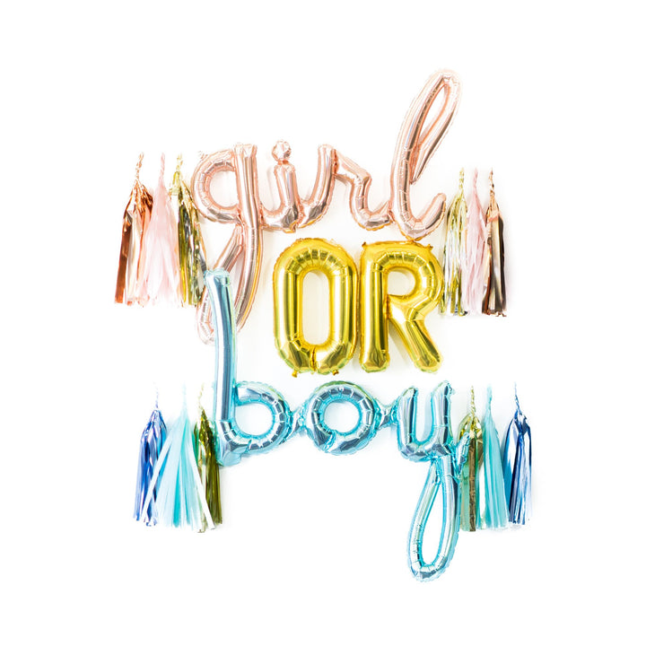 Boy or Girl Gender Reveal Party Box