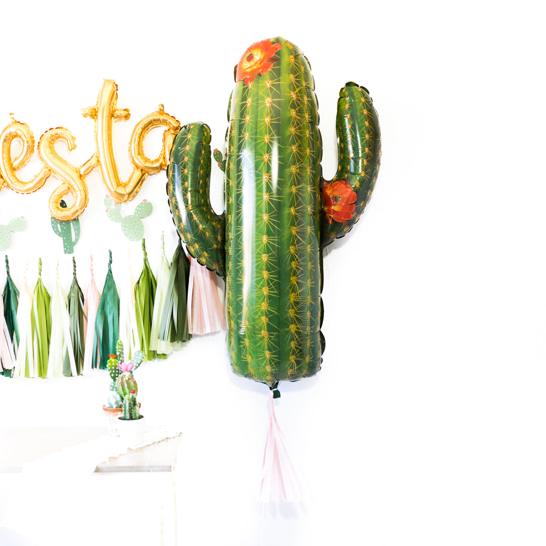 Fiesta Blush Cactus Balloon Party Box